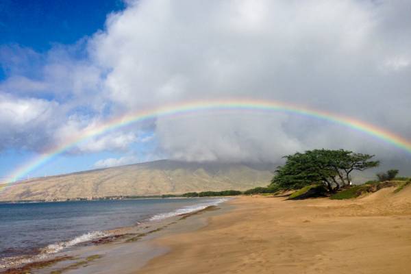Kihei Sands Oceanfront