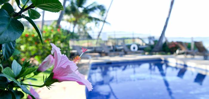 kihei-sands-beachfront-condominiums-kihei-sands-resort-maui